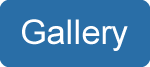 gallery button